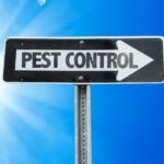 It's important to help protect your home against pests. Here are a few pest control tips all homeowners should know to protect their homes.