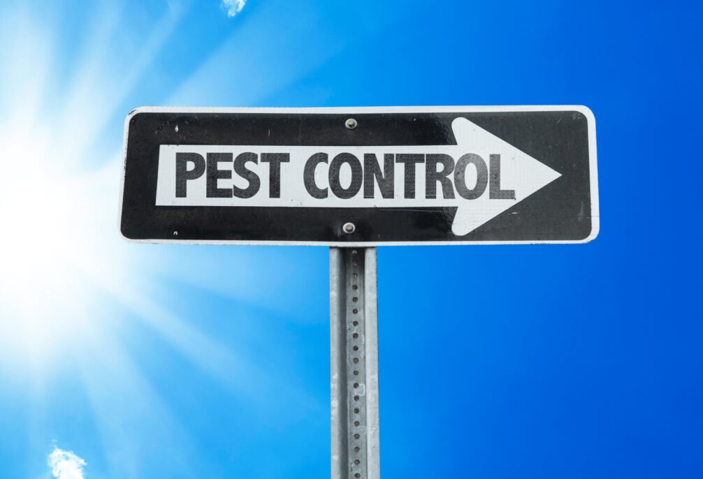The Importance of Regular Pest Inspections for Homeowners