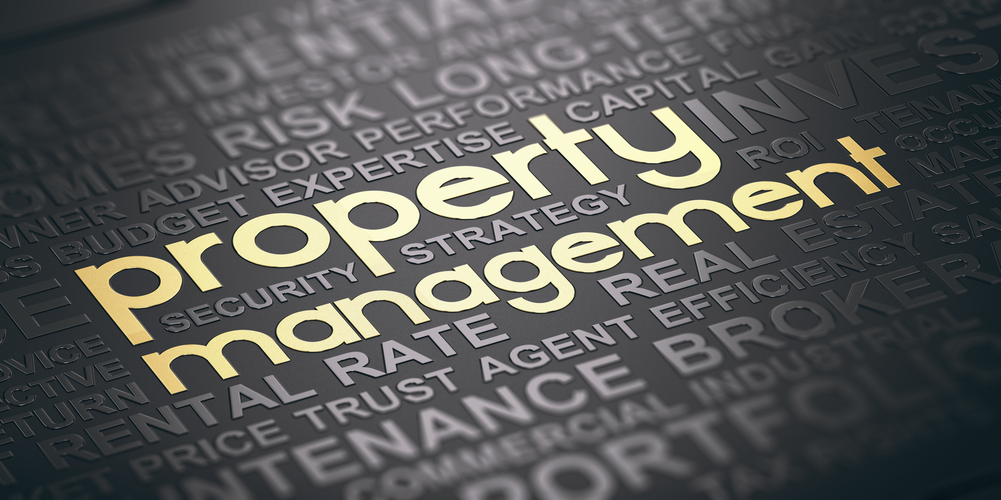 Are you on the hunt for the best property management company in your area? This is how to choose the best service for your needs.