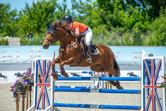 How to Choose the Right Horse Jump Equipment for Your Horse's Skill Level
