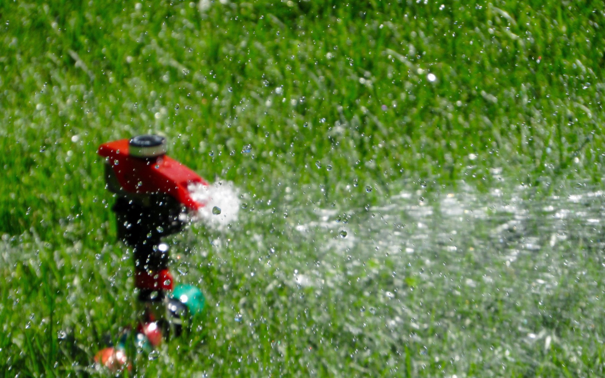 When you want a lush, green, healthy yard that you can enjoy all summer long, discover how to create a lawn watering schedule.