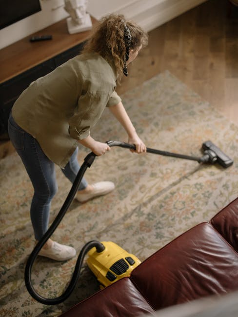 How often should you vacuum your house? Is it OK to vacuum your house every day? Click here to learn everything you need to know.