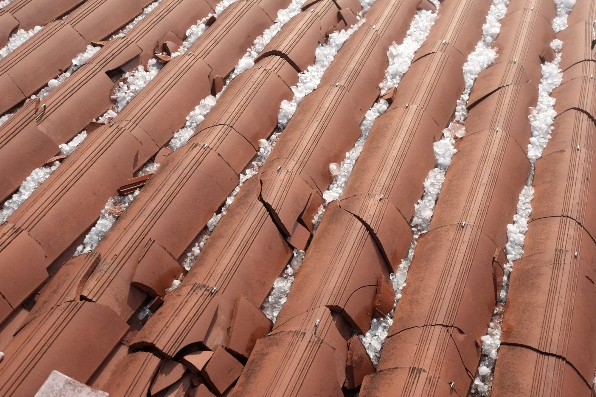 Neglected hail damage on a roof can lead to costly issues for your home and its inhabitants. Spot the signs of roof damage and learn what to do next here.