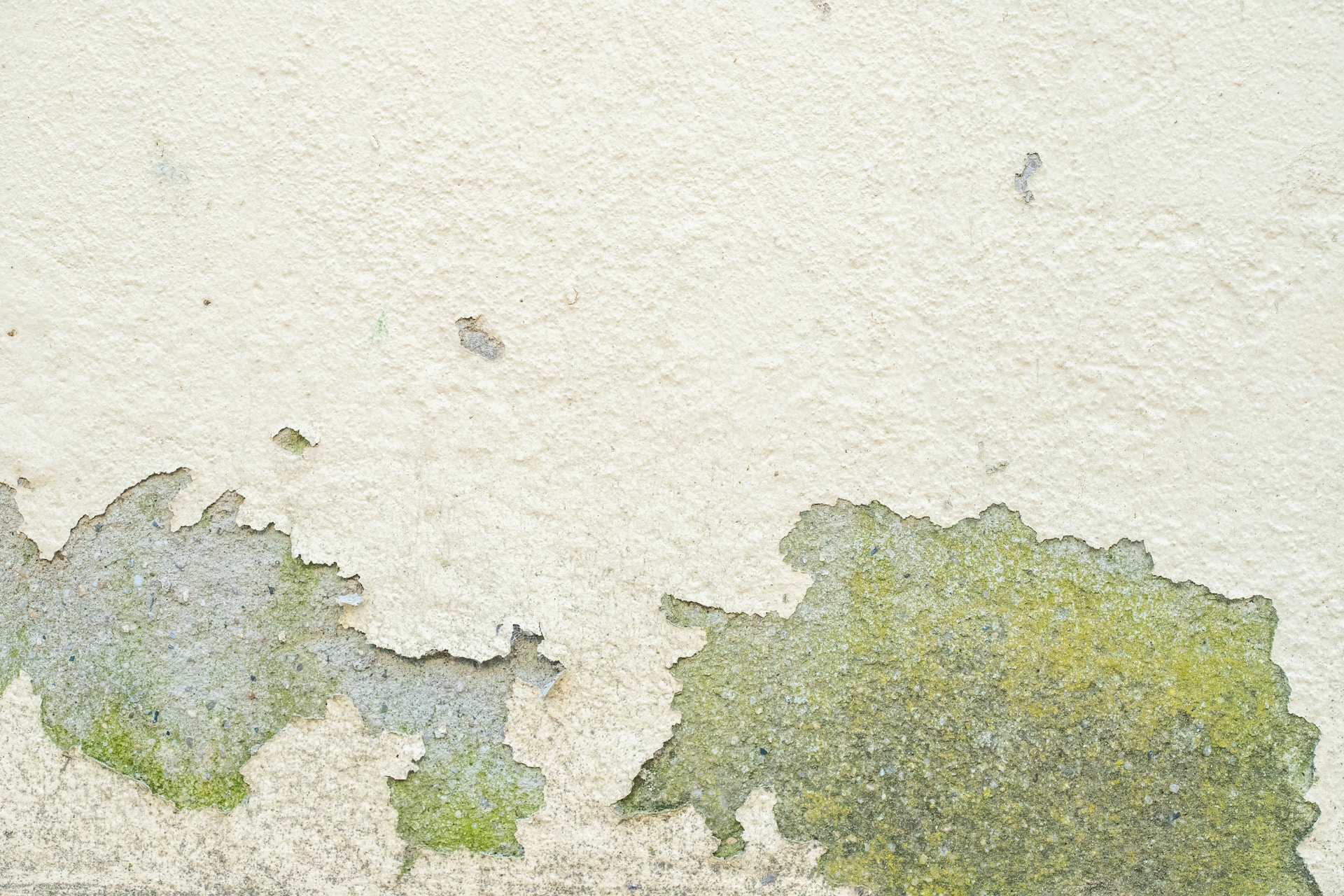 Is Your Home a Breeding Ground for Mold? Discover the Potential Root Causes