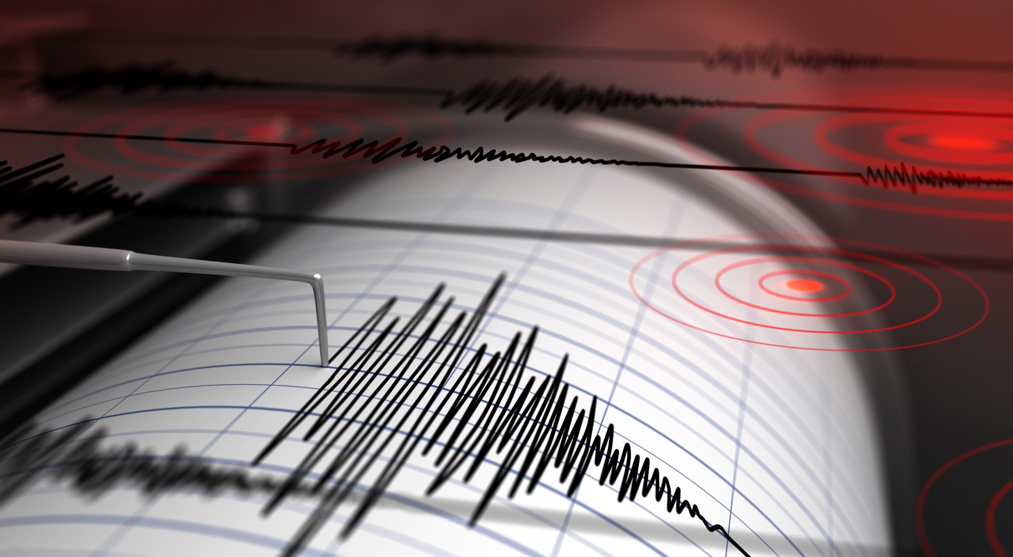 Earthquakes can do severe damage to a home and its structure. But what makes a house earthquake proof? Learn more in this helpful guide.