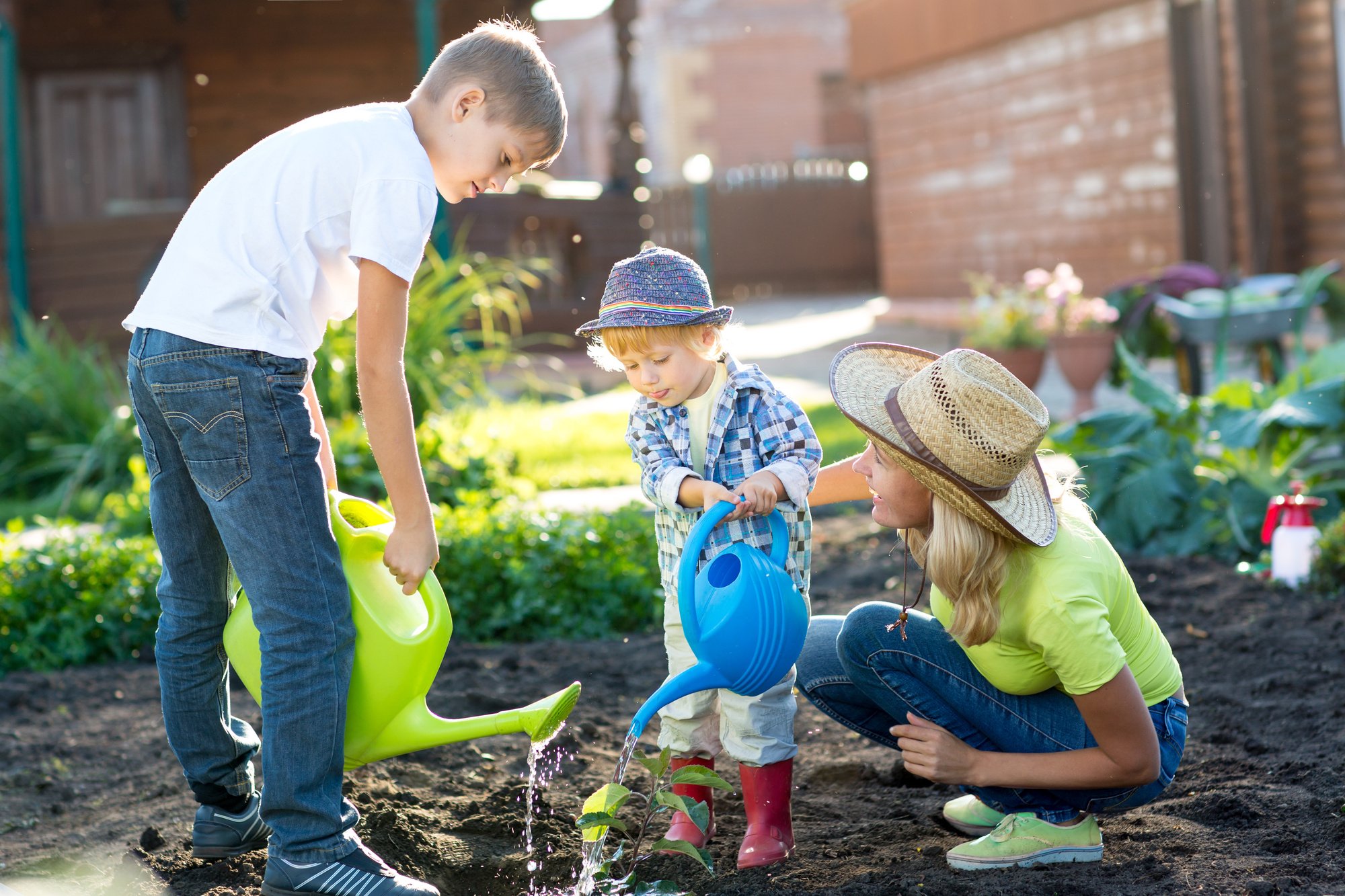 Taking care of your plants means knowing some of the finer details of their needs. We take a closer look a the best and worst time to water plants.