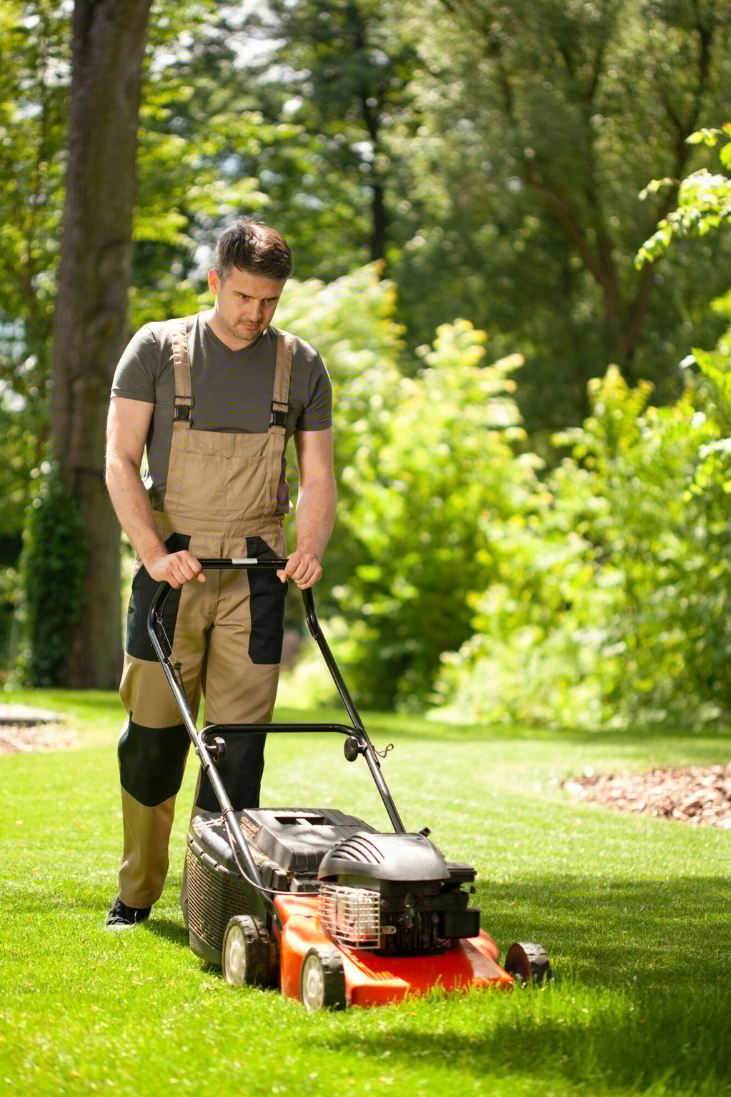 the-ultimate-guide-to-proper-lawn-care-tips-and-tricks-from-the-pros