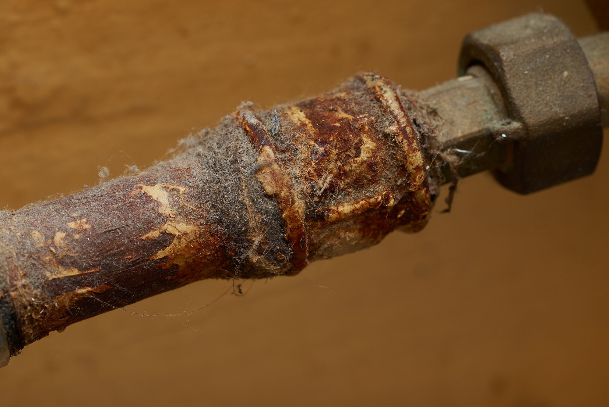 Are you worried about whether or not your home has bad pipes? If so, we have some solutions for you. Here's what you should know.