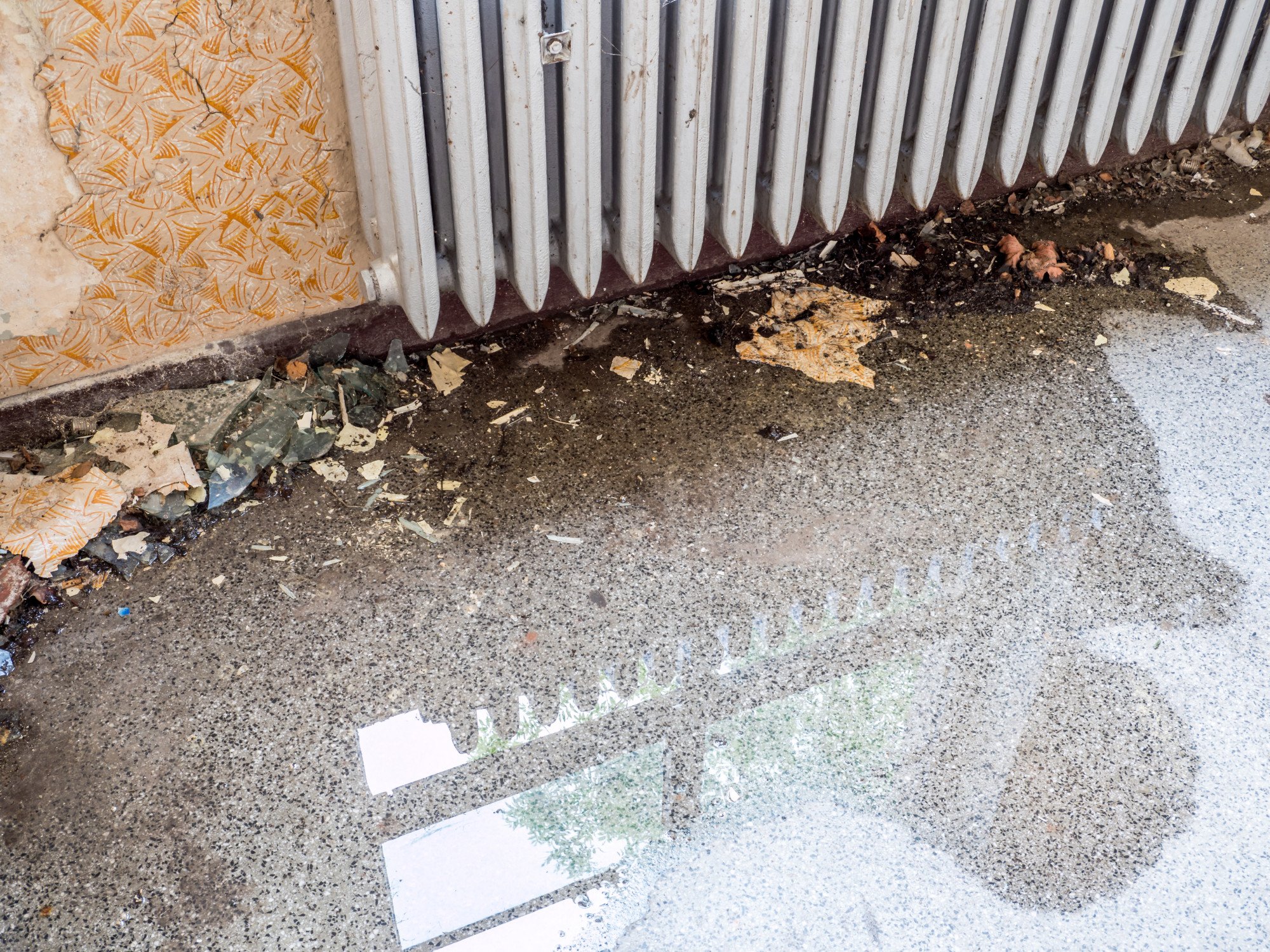 Discover water damage insurance claim tips for a successful claim, ensuring you receive fair compensation and a smooth recovery from water-related incidents.