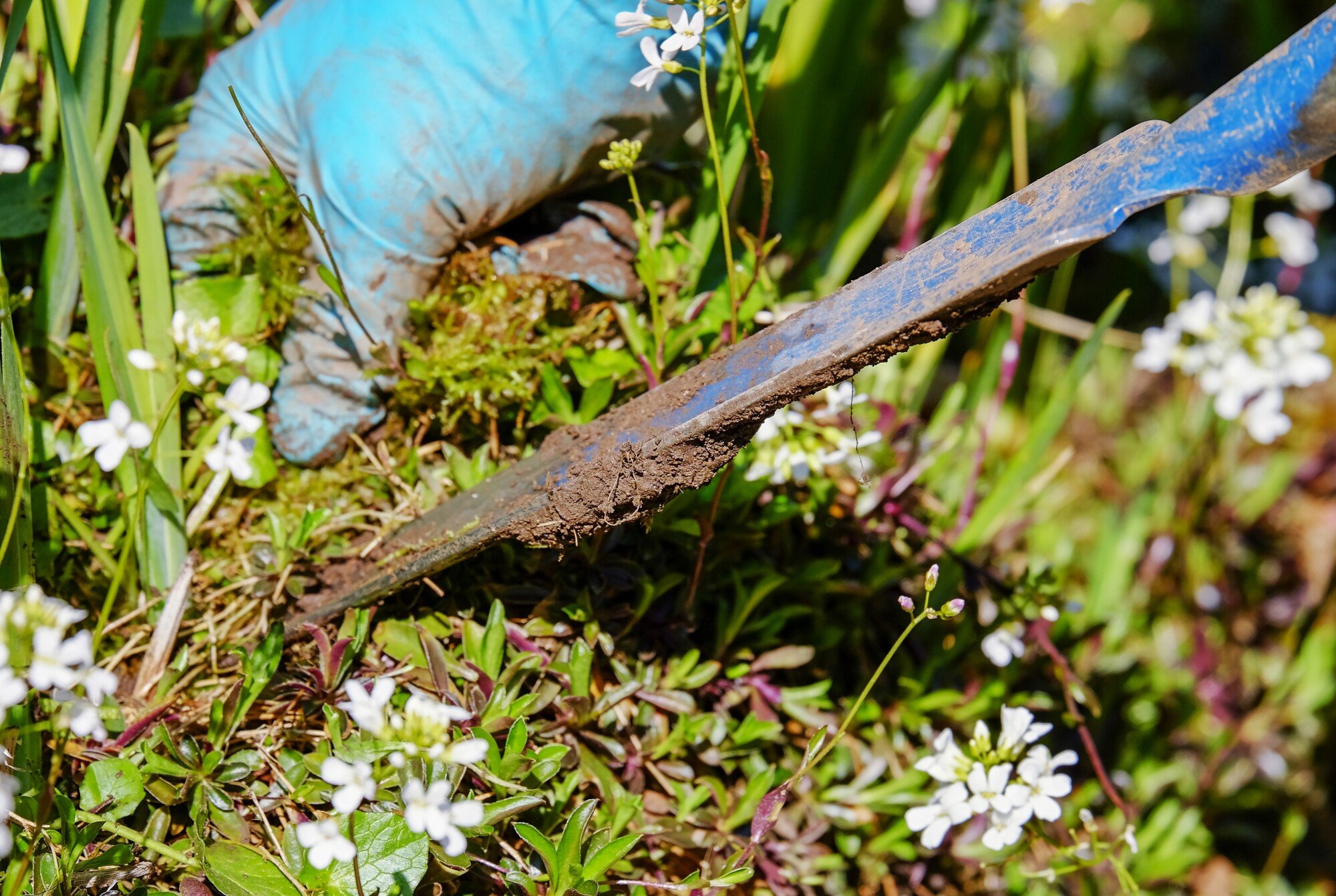 Tired of battling weeds? Professional weed killer to the rescue! Learn how it can save your garden and keep it lush and weed-free.