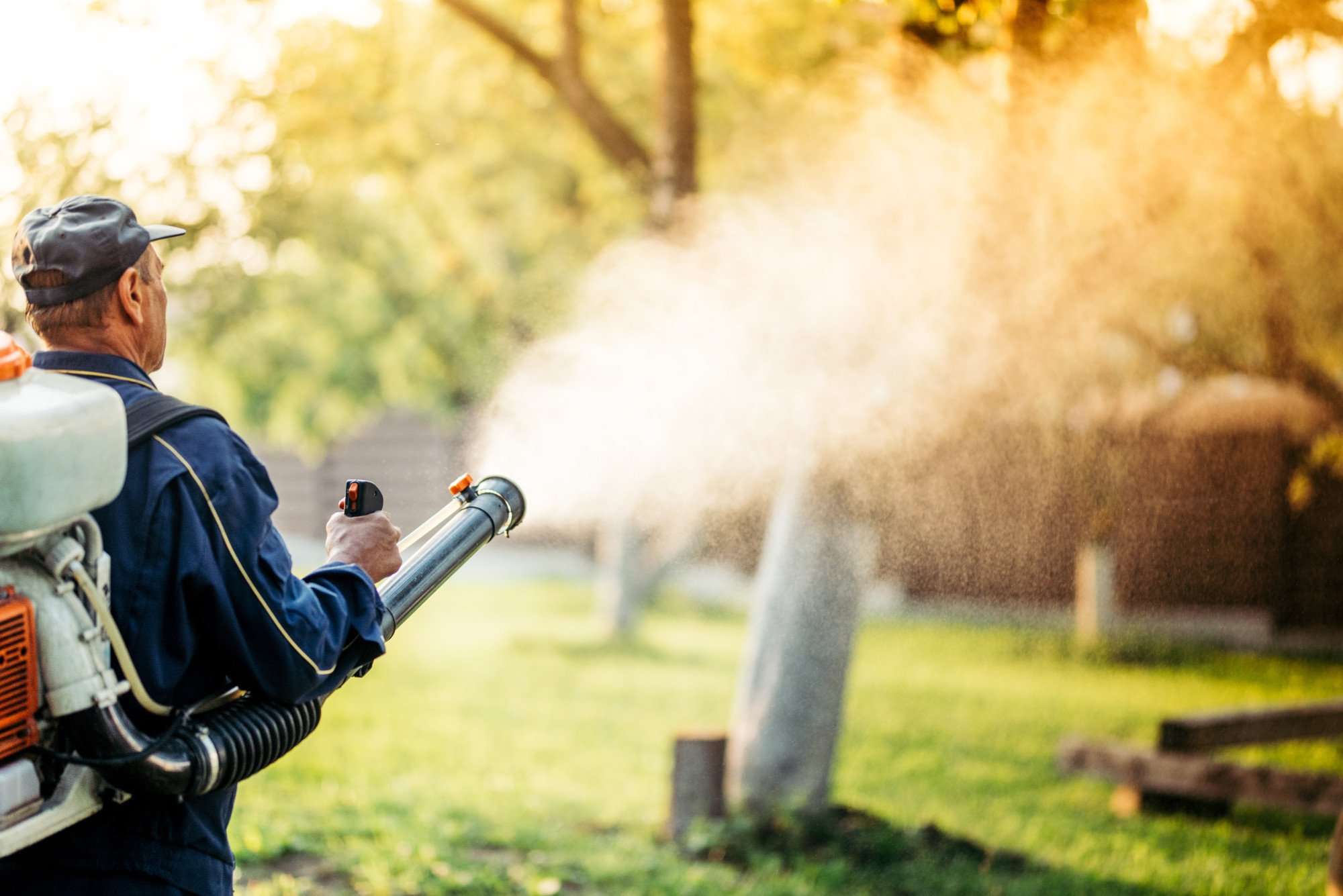 Transform your outdoor haven into a mosquito-free oasis with effective backyard mosquito control systems. Explore innovative solutions today!