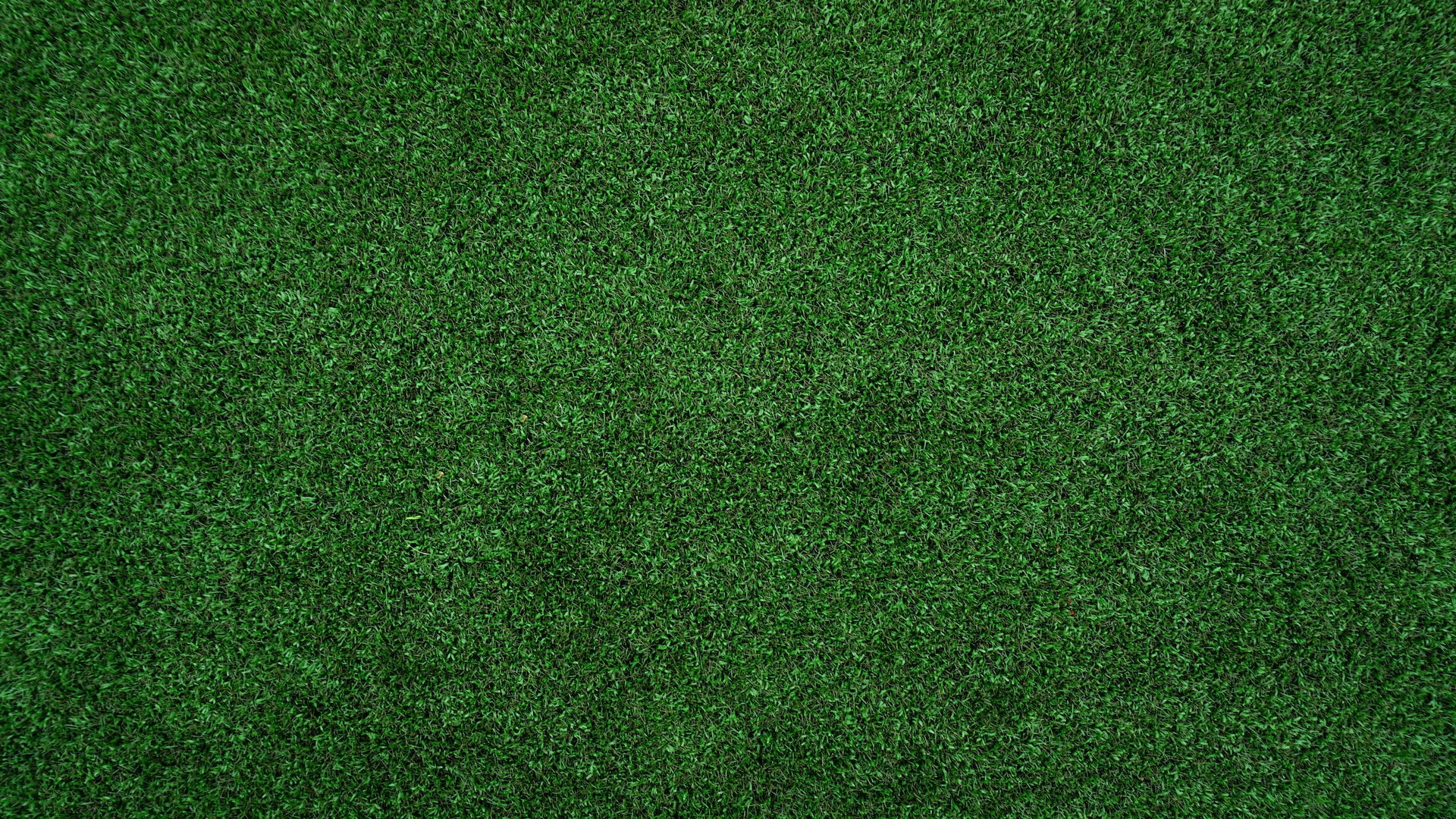 Choosing the Right Professional Turf Products