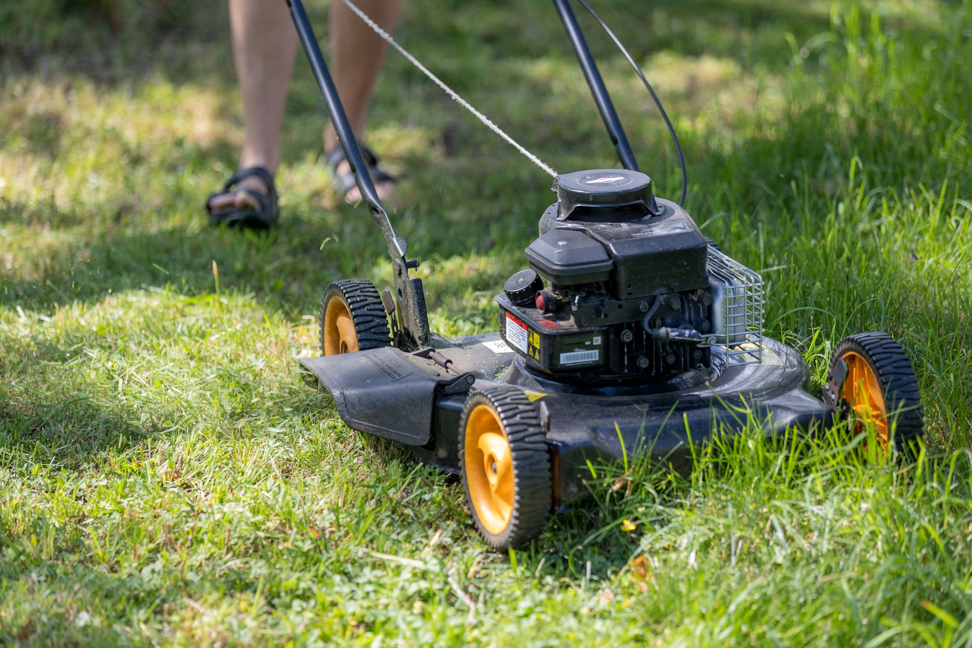Cultivating a Healthy Lawn: A Comprehensive Guide for Homeowners