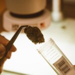 Ensuring Consumer Safety: The Role of Cannabis Testing Laboratories in Product Quality Control